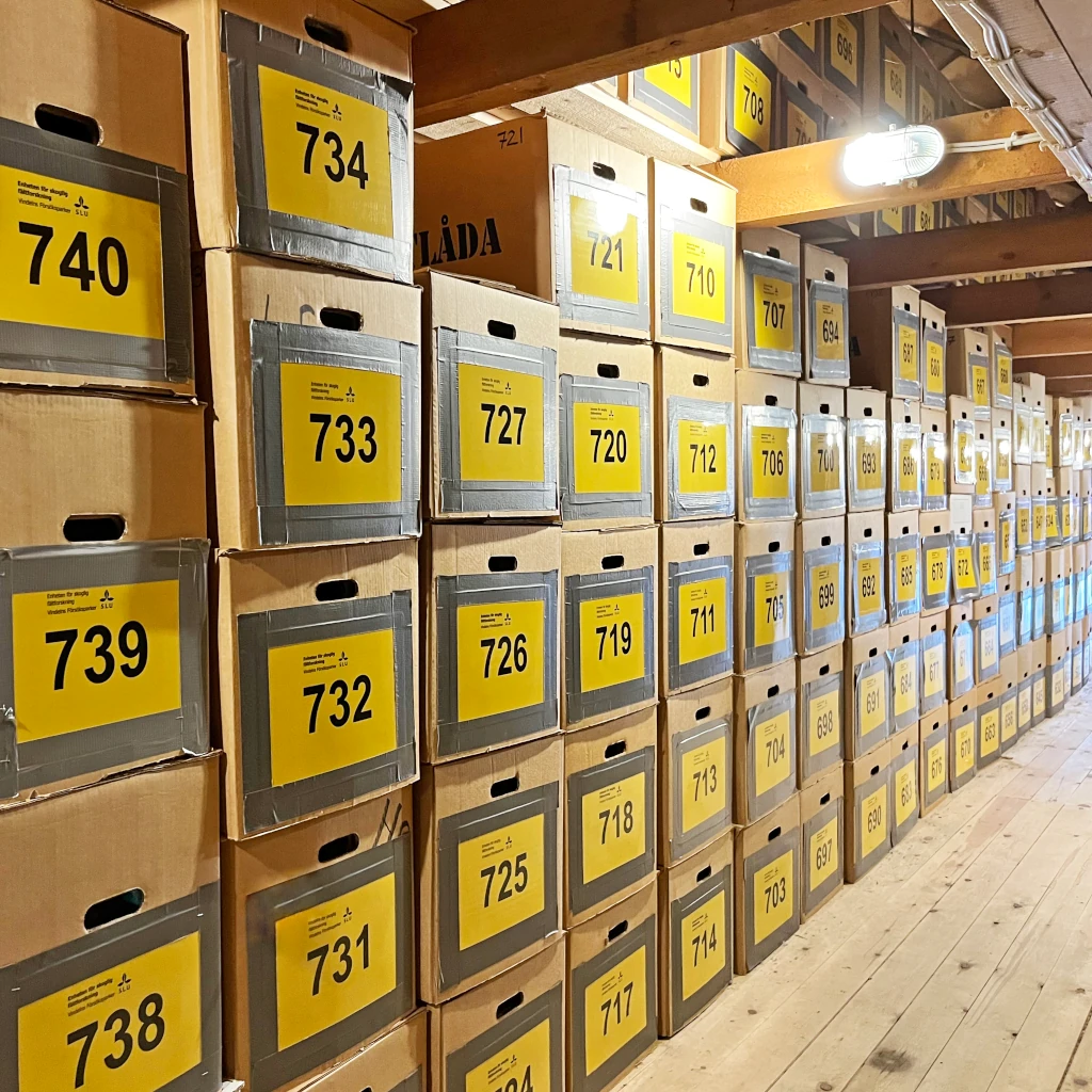 Overview of sample boxes at Östvallen. Taken by Ulla Nylander