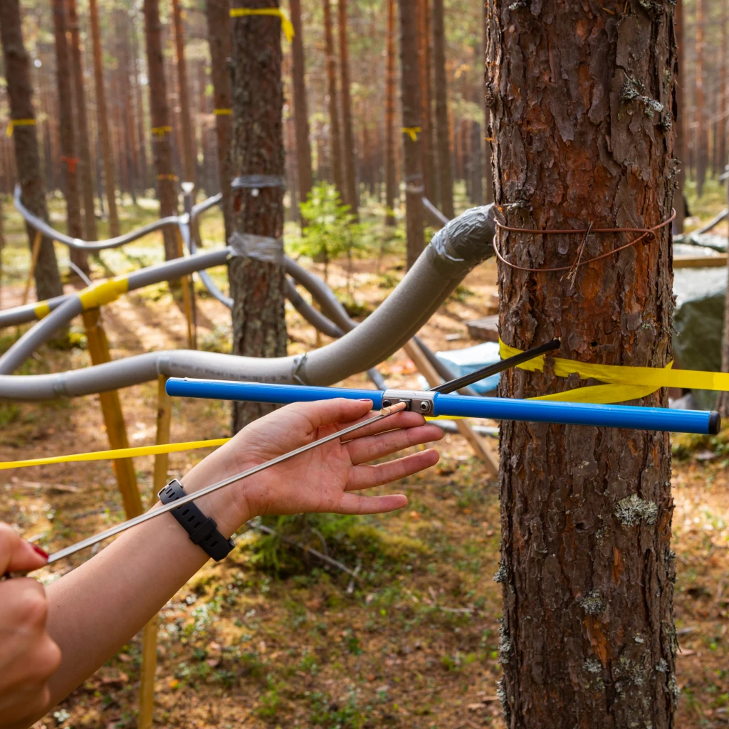 Wood core drill sampling. taken by Andreas Palmén