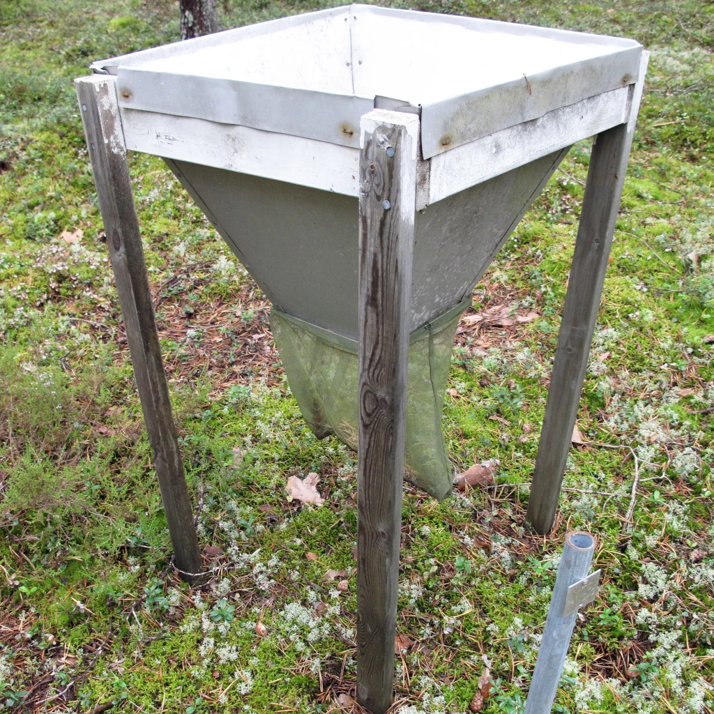 A litter trap at Svartberget research station. Taken by Ulla Nylander